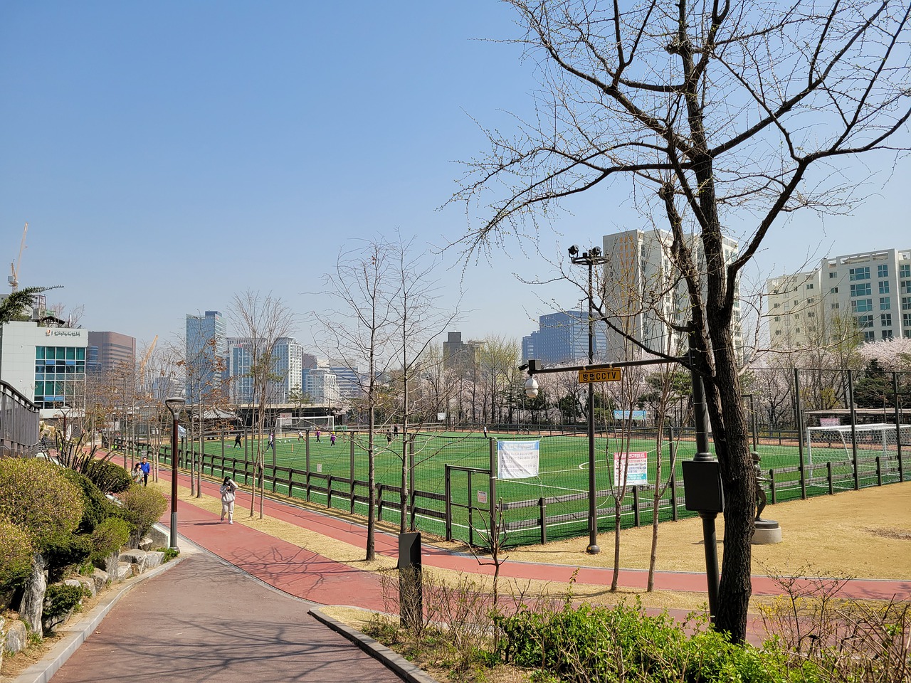 岁比