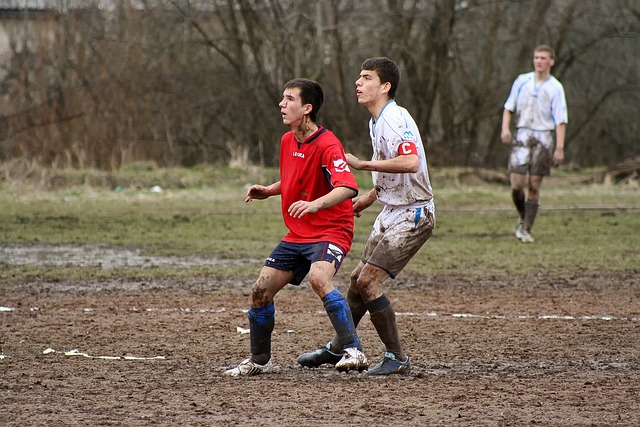 展的重要引 展的重要引