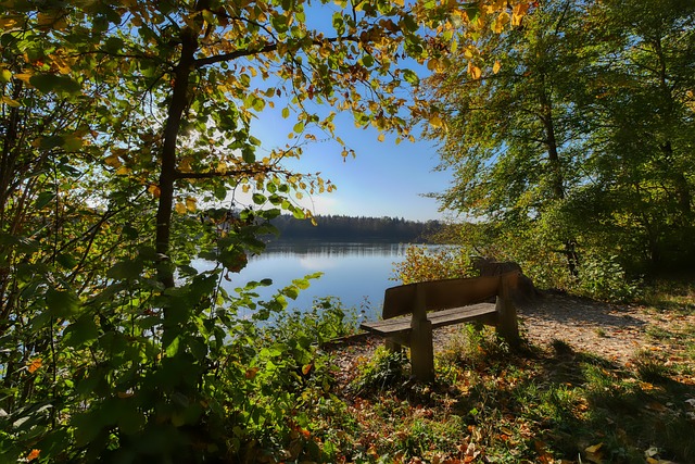 拜仁与图赫 拜仁与图赫