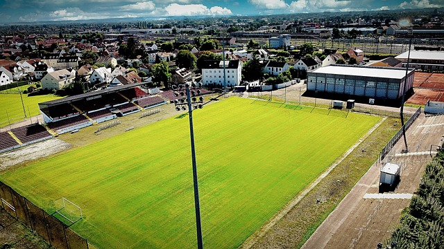 目前来看 目前来看