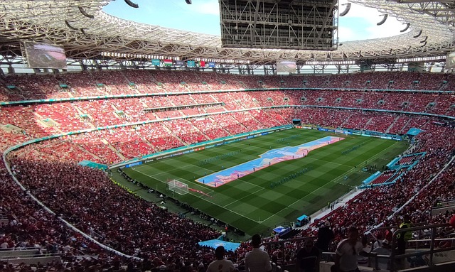 社交平台 社交平台