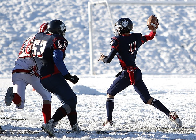 阵容调整主 阵容调整主